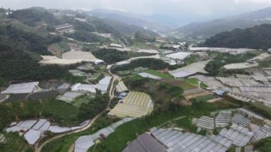 Cameron Highlands, Pahang Malezya 30 Mayıs 2022: Malezya 'nın Cameron Highlands Alanı içindeki Brinchang Bölgesinin Genel Manzarası