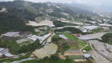 Cameron Highlands, Pahang Malezya 30 Mayıs 2022: Malezya 'nın Cameron Highlands Alanı içindeki Brinchang Bölgesinin Genel Manzarası