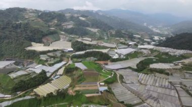 Cameron Highlands, Pahang Malezya 30 Mayıs 2022: Malezya 'nın Cameron Highlands Alanı içindeki Brinchang Bölgesinin Genel Manzarası