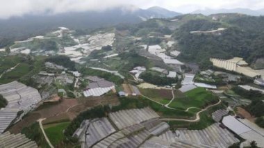 Cameron Highlands, Pahang Malezya 30 Mayıs 2022: Malezya 'nın Cameron Highlands Alanı içindeki Brinchang Bölgesinin Genel Manzarası