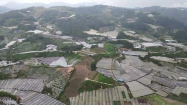 Cameron Highlands, Pahang Malezya 30 Mayıs 2022: Malezya 'nın Cameron Highlands Alanı içindeki Brinchang Bölgesinin Genel Manzarası