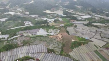 Cameron Highlands, Pahang Malezya 30 Mayıs 2022: Malezya 'nın Cameron Highlands Alanı içindeki Brinchang Bölgesinin Genel Manzarası