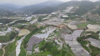 Cameron Highlands, Pahang Malezya 30 Mayıs 2022: Malezya 'nın Cameron Highlands Alanı içindeki Brinchang Bölgesinin Genel Manzarası