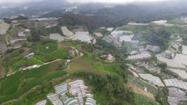 Cameron Highlands, Pahang Malezya 30 Mayıs 2022: Malezya 'nın Cameron Highlands Alanı içindeki Brinchang Bölgesinin Genel Manzarası