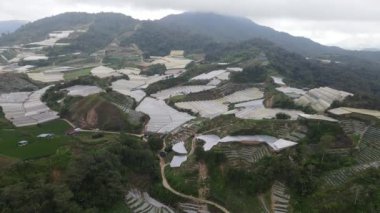 Cameron Highlands, Pahang Malezya 30 Mayıs 2022: Malezya 'nın Cameron Highlands Alanı içindeki Brinchang Bölgesinin Genel Manzarası