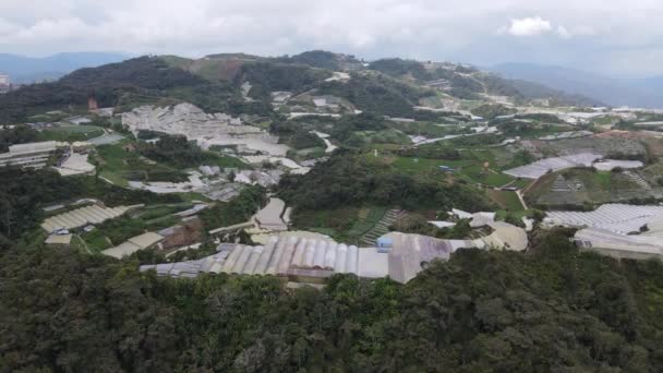 Cameron Highlands Pahang Malajsie Května 2022 Celkový Pohled Krajinu Oblasti — Stock video