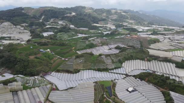 Cameron Highlands Pahang Malásia Maio 2022 Vista Geral Paisagem Distrito — Vídeo de Stock