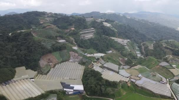 Cameron Highlands Pahang Malezja Maja 2022 Ogólny Widok Krajobraz Dystryktu — Wideo stockowe