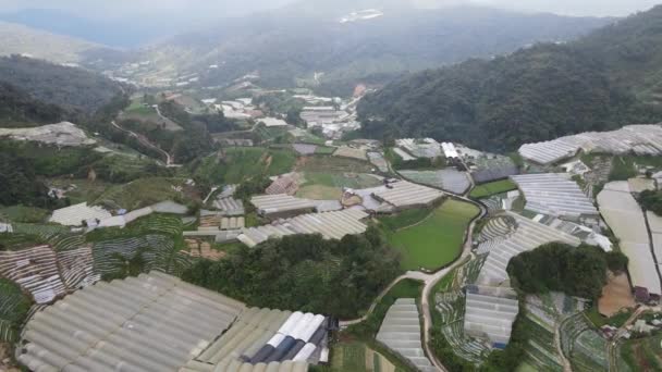 Cameron Highlands Pahang Malaysia Mai 2022 Allgemeiner Landschaftsblick Auf Den — Stockvideo