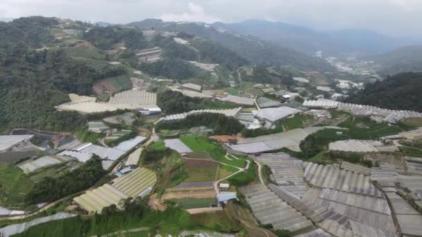 Cameron Highlands Pahang Malezja Maja 2022 Ogólny Widok Krajobraz Dystryktu — Wideo stockowe