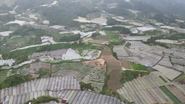 Cameron Highlands Pahang Malaysia Травня 2022 General Landscape View Brinchang — стокове відео