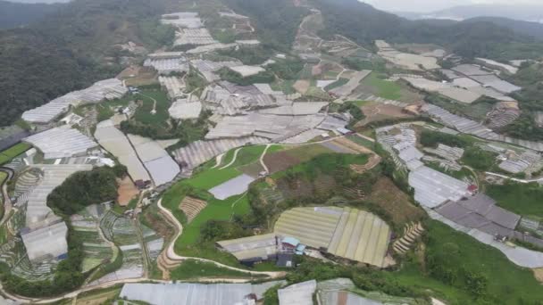 Cameron Highlands Pahang Malaysia Mei 2022 General Landscape View Brinchang — Stok Video