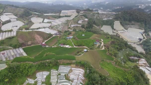 Cameron Highlands Pahang Malesia Toukokuuta 2022 General Landscape View Brinchang — kuvapankkivideo