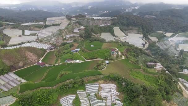 Cameron Highlands Pahang Malásia Maio 2022 Vista Geral Paisagem Distrito — Vídeo de Stock