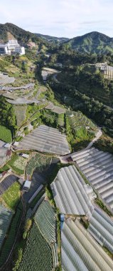 Cameron Highlands, Pahang Malezya 30 Mayıs 2022: Malezya 'nın Cameron Highlands Alanı içindeki Brinchang Bölgesinin Genel Manzarası