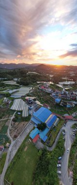 Cameron Highlands, Pahang Malezya 30 Mayıs 2022: Malezya 'nın Cameron Highlands Alanı içindeki Brinchang Bölgesinin Genel Manzarası