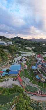 Cameron Highlands, Pahang Malezya 30 Mayıs 2022: Malezya 'nın Cameron Highlands Alanı içindeki Brinchang Bölgesinin Genel Manzarası