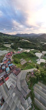 Cameron Highlands, Pahang Malezya 30 Mayıs 2022: Malezya 'nın Cameron Highlands Alanı içindeki Brinchang Bölgesinin Genel Manzarası