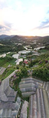 Cameron Highlands, Pahang Malezya 30 Mayıs 2022: Malezya 'nın Cameron Highlands Alanı içindeki Brinchang Bölgesinin Genel Manzarası