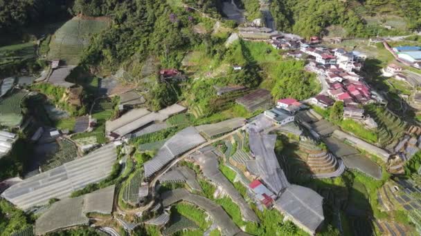 Cameron Highlands Pahang Malezya Mayıs 2022 Malezya Nın Cameron Highlands — Stok video