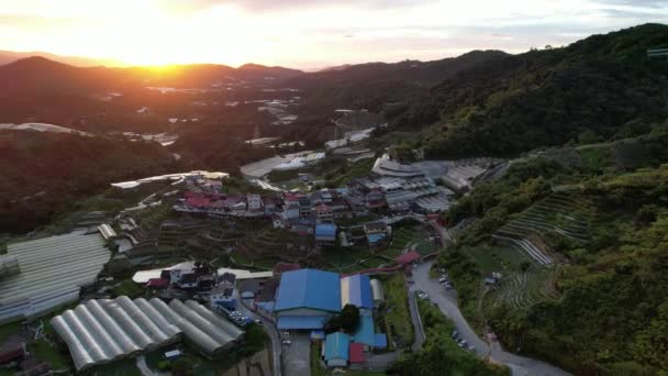 Cameron Highlands Pahang Malezja Maja 2022 Ogólny Widok Krajobraz Dystryktu — Wideo stockowe