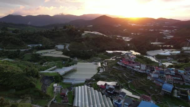 Cameron Highlands Pahang Maleisië Mei 2022 Algemeen Landschapsbeeld Van Het — Stockvideo