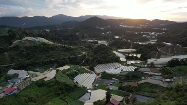 Cameron Highlands Pahang Malasia Mayo 2022 Vista General Del Paisaje — Vídeo de stock