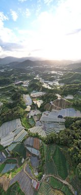 Cameron Highlands, Pahang Malezya 30 Mayıs 2022: Malezya 'nın Cameron Highlands Alanı içindeki Brinchang Bölgesinin Genel Manzarası