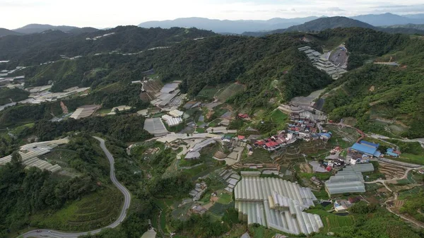 2022年5月30日马来西亚彭亨市卡梅隆高地 马来西亚卡梅隆高地地区布林昌区的景观概览 — 图库照片