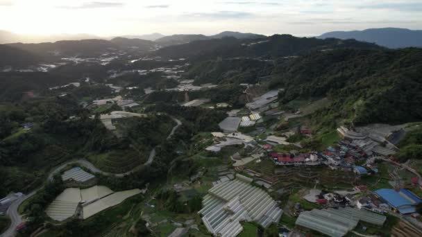 Cameron Highlands Pahang Malajzia 2022 Május Általános Tájkép Brinchangi Körzetről — Stock videók