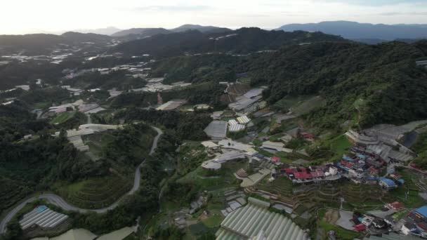 Cameron Highlands Pahang Malajsie Května 2022 Celkový Pohled Krajinu Oblasti — Stock video