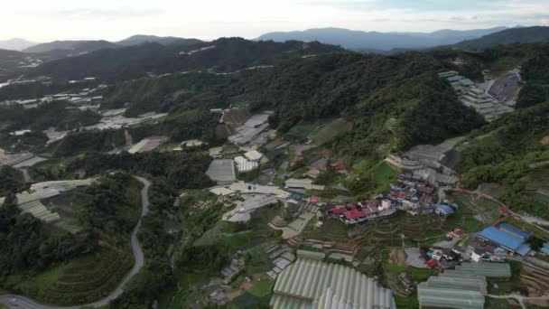 Cameron Highlands Pahang Malezja Maja 2022 Ogólny Widok Krajobraz Dystryktu — Wideo stockowe