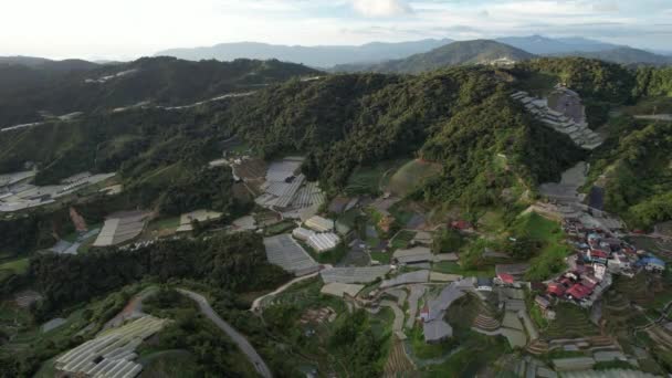 Cameron Highlands Pahang Malasia Mayo 2022 Vista General Del Paisaje — Vídeos de Stock