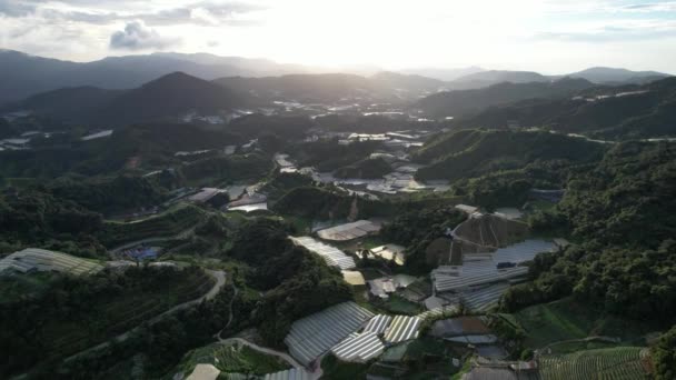 Cameron Highlands Pahang Malasia Mayo 2022 Vista General Del Paisaje — Vídeo de stock