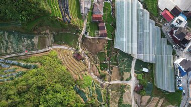 Cameron Highlands, Pahang Malezya 30 Mayıs 2022: Malezya 'nın Cameron Highlands Alanı içindeki Brinchang Bölgesinin Genel Manzarası