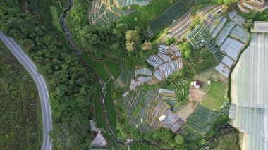 Cameron Highlands, Pahang Malezya 30 Mayıs 2022: Malezya 'nın Cameron Highlands Alanı içindeki Brinchang Bölgesinin Genel Manzarası