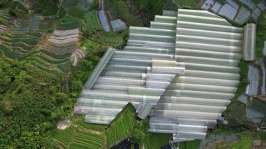Cameron Highlands, Pahang Malezya 30 Mayıs 2022: Malezya 'nın Cameron Highlands Alanı içindeki Brinchang Bölgesinin Genel Manzarası