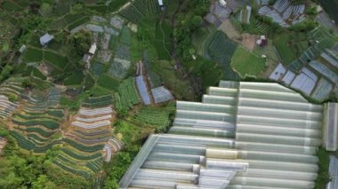 Cameron Highlands, Pahang Malezya 30 Mayıs 2022: Malezya 'nın Cameron Highlands Alanı içindeki Brinchang Bölgesinin Genel Manzarası