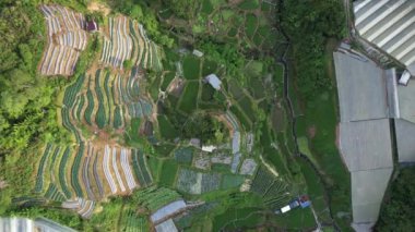 Cameron Highlands, Pahang Malezya 30 Mayıs 2022: Malezya 'nın Cameron Highlands Alanı içindeki Brinchang Bölgesinin Genel Manzarası