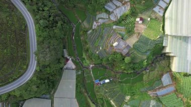 Cameron Highlands, Pahang Malezya 30 Mayıs 2022: Malezya 'nın Cameron Highlands Alanı içindeki Brinchang Bölgesinin Genel Manzarası