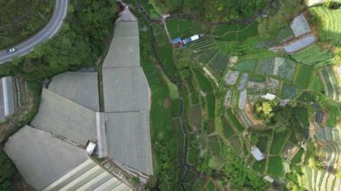 Cameron Highlands, Pahang Malezya 30 Mayıs 2022: Malezya 'nın Cameron Highlands Alanı içindeki Brinchang Bölgesinin Genel Manzarası