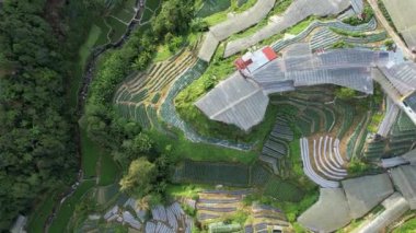 Cameron Highlands, Pahang Malezya 30 Mayıs 2022: Malezya 'nın Cameron Highlands Alanı içindeki Brinchang Bölgesinin Genel Manzarası