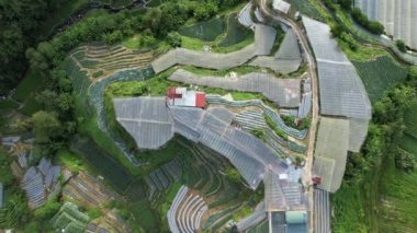 Cameron Highlands, Pahang Malezya 30 Mayıs 2022: Malezya 'nın Cameron Highlands Alanı içindeki Brinchang Bölgesinin Genel Manzarası