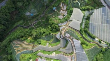 Cameron Highlands, Pahang Malezya 30 Mayıs 2022: Malezya 'nın Cameron Highlands Alanı içindeki Brinchang Bölgesinin Genel Manzarası
