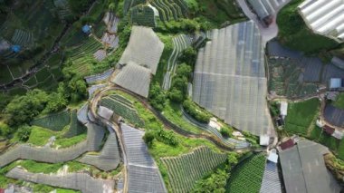 Cameron Highlands, Pahang Malezya 30 Mayıs 2022: Malezya 'nın Cameron Highlands Alanı içindeki Brinchang Bölgesinin Genel Manzarası