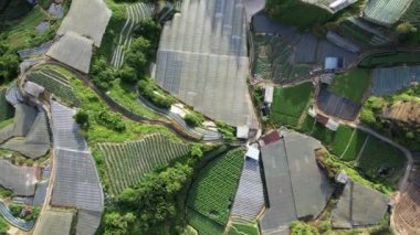 Cameron Highlands, Pahang Malezya 30 Mayıs 2022: Malezya 'nın Cameron Highlands Alanı içindeki Brinchang Bölgesinin Genel Manzarası