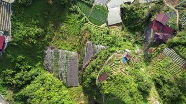 Cameron Highlands, Pahang Malezya 30 Mayıs 2022: Malezya 'nın Cameron Highlands Alanı içindeki Brinchang Bölgesinin Genel Manzarası