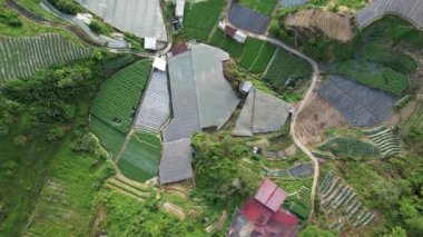 Cameron Highlands, Pahang Malezya 30 Mayıs 2022: Malezya 'nın Cameron Highlands Alanı içindeki Brinchang Bölgesinin Genel Manzarası