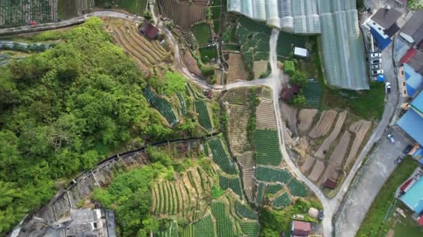 Cameron Highlands Pahang Malaysia 2022 General Landscape View Brinchang District — 비디오