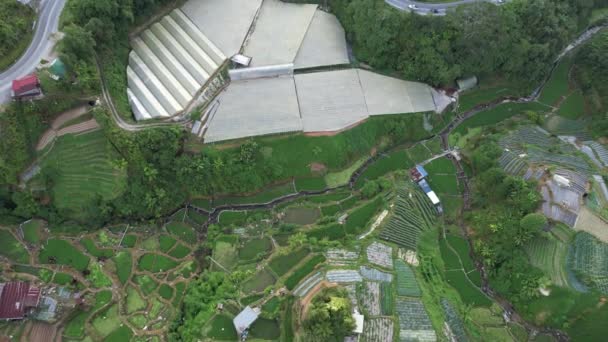 Cameron Highlands Pahang Malasia Mayo 2022 Vista General Del Paisaje — Vídeos de Stock